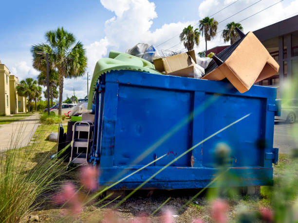 Best Local Junk Hauling  in Mountain View, NC